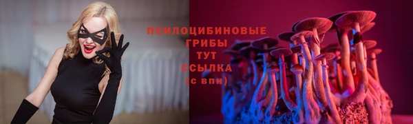 mdma Богородицк