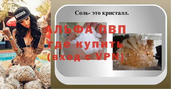 прущие грибы Тихорецк