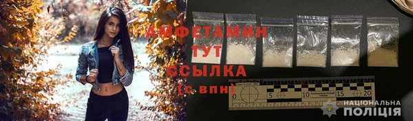 мяу мяу мука Богданович