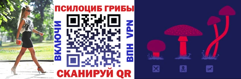 Псилоцибиновые грибы Cubensis  Кириллов 